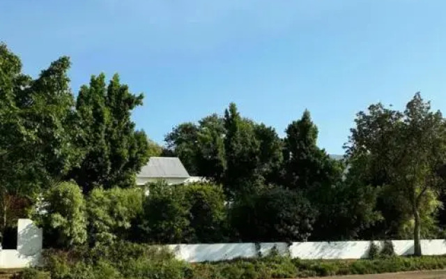 Winterson en Somerkoelte