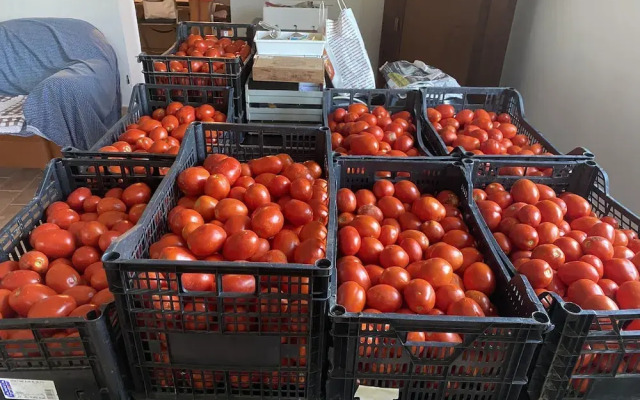 Affittacamere Ca' da Mazapedar