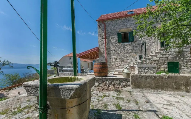 House Darijo