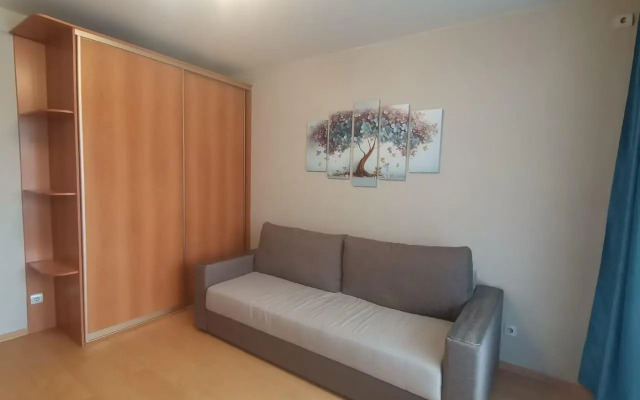 Апартаменты на улице Панькова