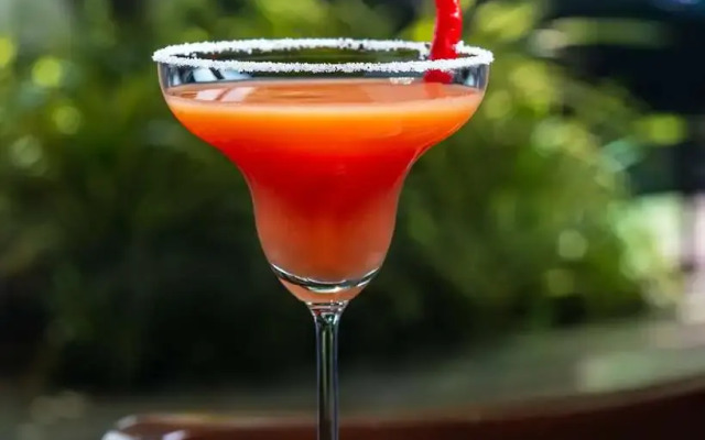 Radisson Blu Plaza Delhi Airport