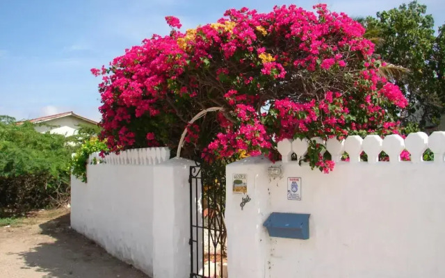Villa Bougainvillea Aruba Rumba Suite