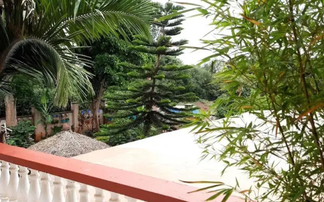 Bonsai Villa