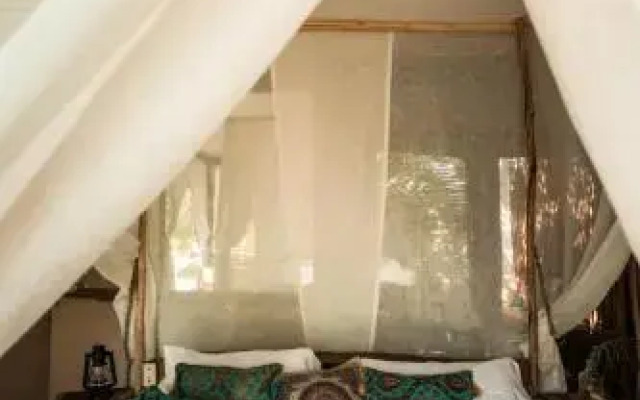 NUNUM-Luxury Tenting