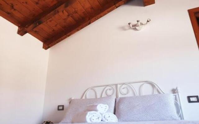 Leonardo Da Vinci / Galeazzi