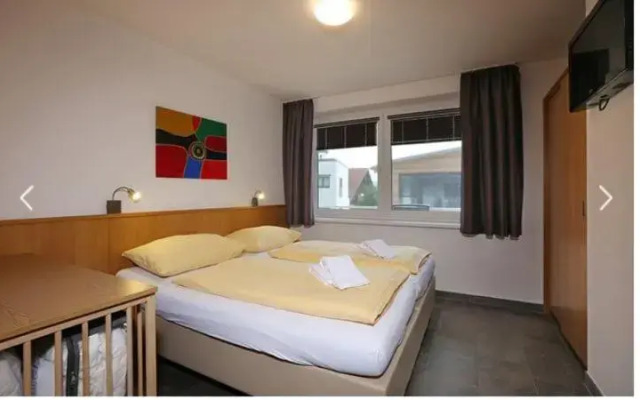 Deluxe Apartment SCHRABERGER TOP 6