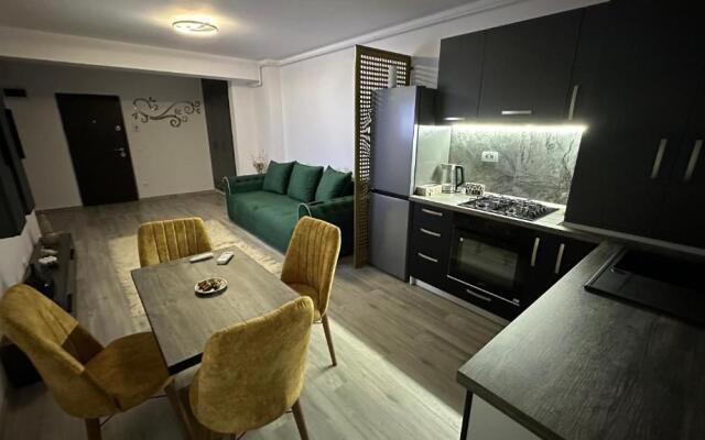 Apartament lux Bacovia1