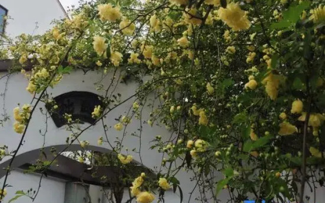 Xiushan Yingyuan Hostel