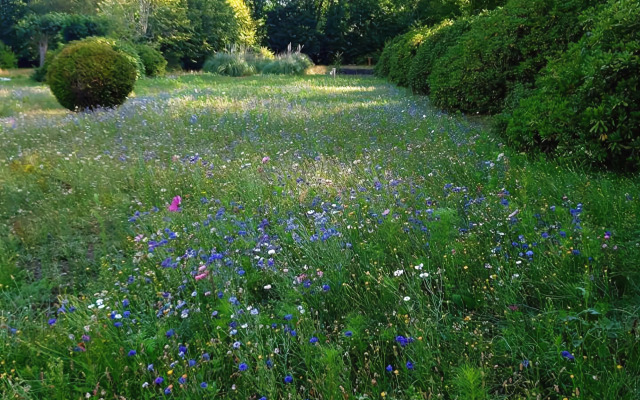 Domaine les Bruyères