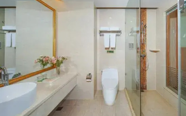 Vienna Hotel Tianjin Lingshijun