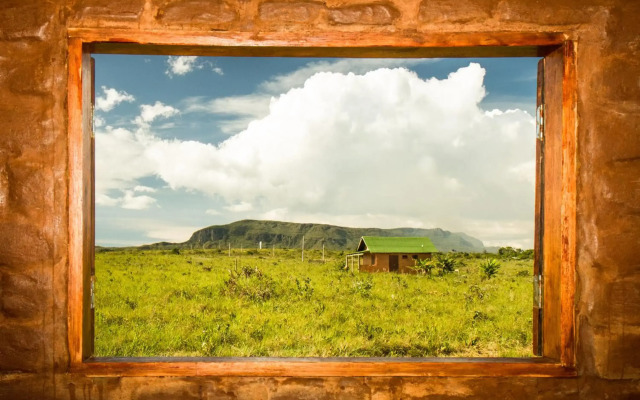 Raizando Ecologia Humana