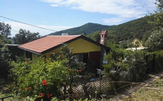 Yellow House