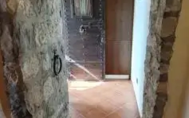 Apartments Radović