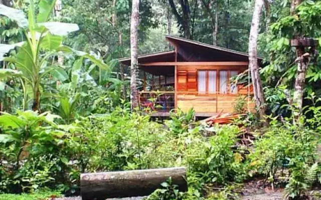 El Tucan Jungle Lodge