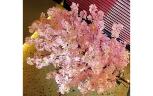Sakura Sky Hotel - Vacation STAY 18442v