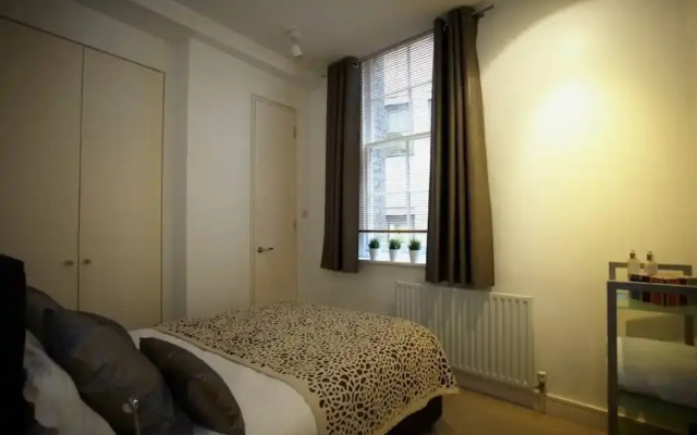 1 Bedroom Apartment Near St Paul's