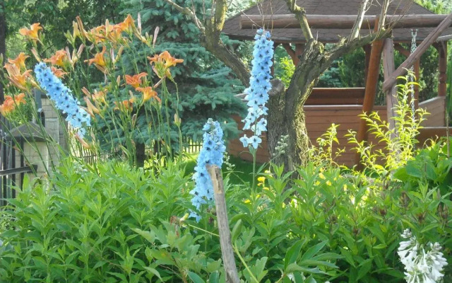 Wczasy od Maluszka do Staruszka