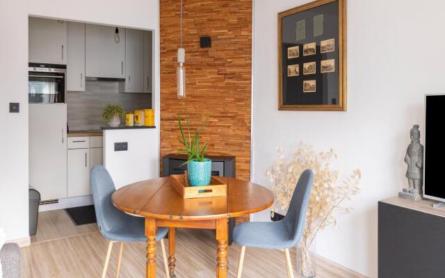 Charming apartment in Blankenberge with sea-views