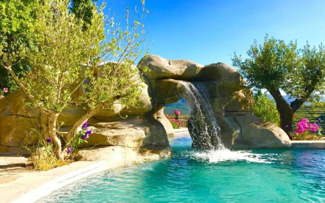 Wild Boar Mountain - France