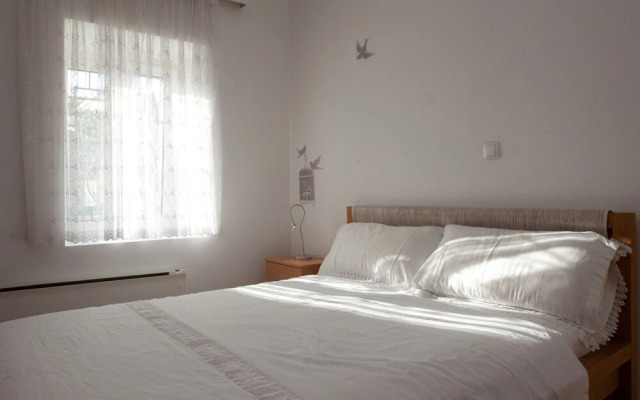 Modern apt With Large Garden & Parking in Center