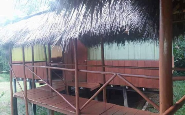 Cabaña Amazon Lodge