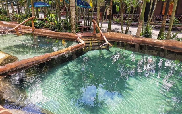 Hotel Palmera Real Hot Springs