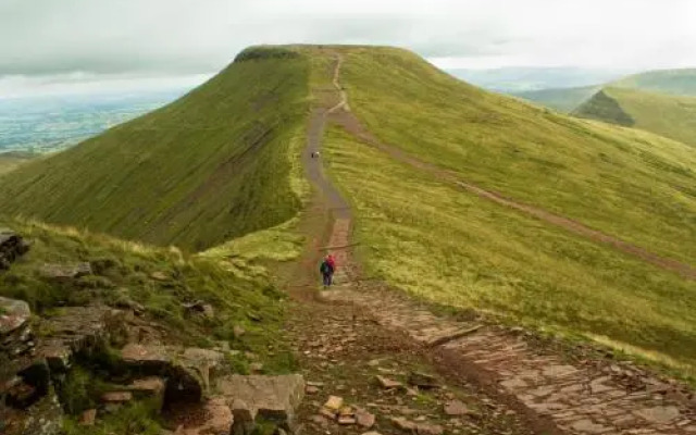 Brynderwen