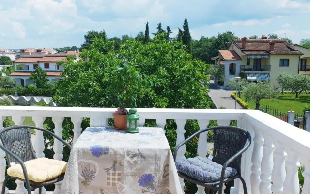 Apartment Tezak