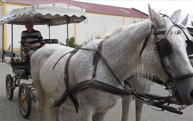 Hotel Weingut Rosenhof