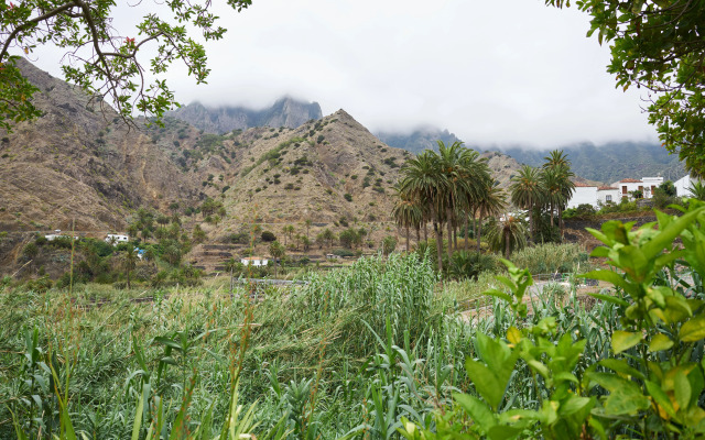Finca Pinero