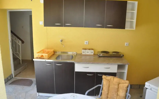 Vila Olivera Niska Banja