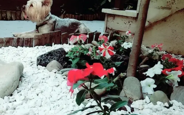 Villa Yanna Studios