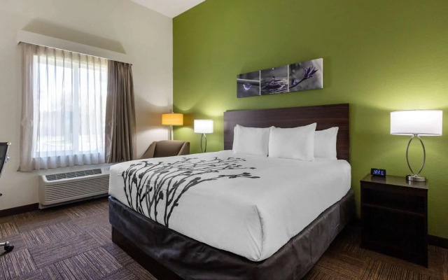 Sleep Inn & Suites Tampa South