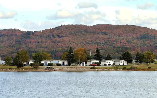The Cove