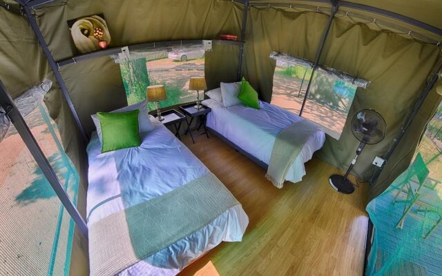 Tented Adventures Pretoriuskop Rest Camp