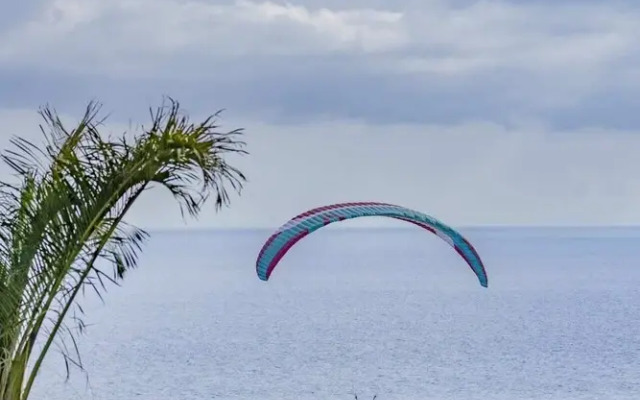 Luxury Holiday - Madeira Oceanview Paradise