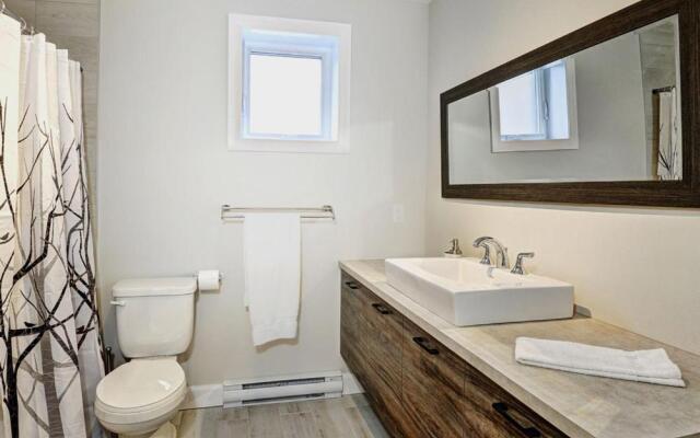 Chalets Alpins- 04 Chemin Blanc