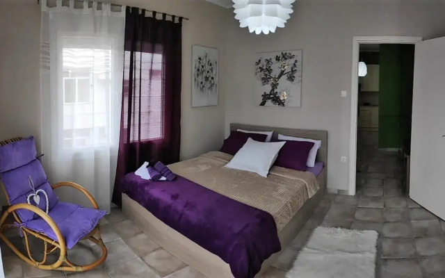 Cozy apartments