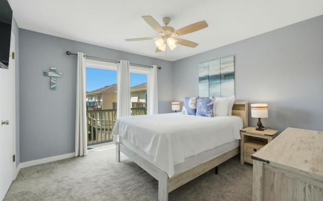Sand Dollar 30