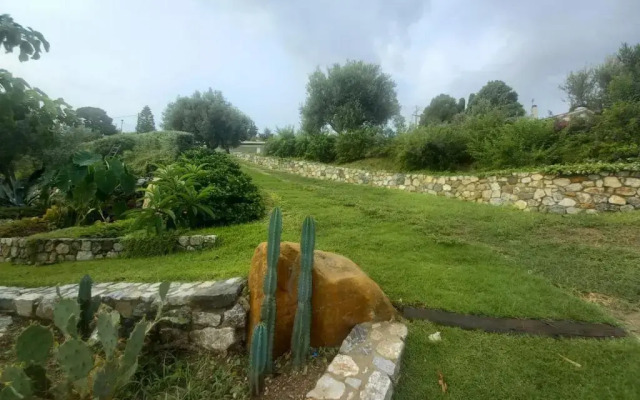 The cliff house