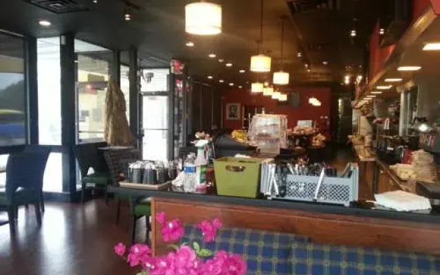 萨拉索塔机场酒店(Sarasota Airport Hotel)