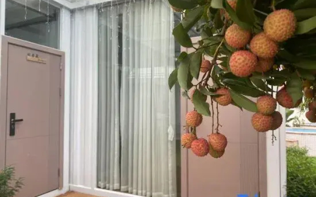 Guangzhou Conghua Bishui Hot Spring • One Mu Liyuan Homestay