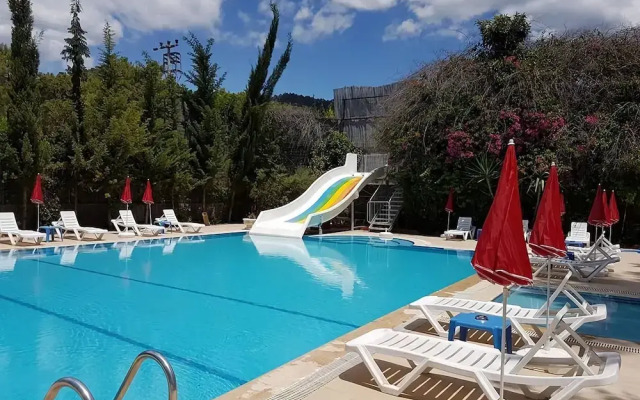 Silver Pine Hotel