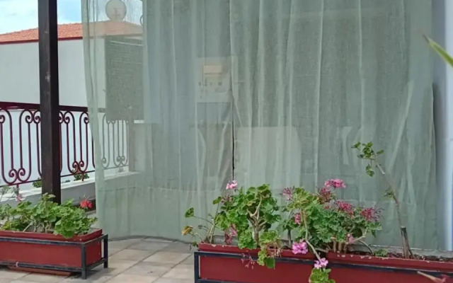 Selini House