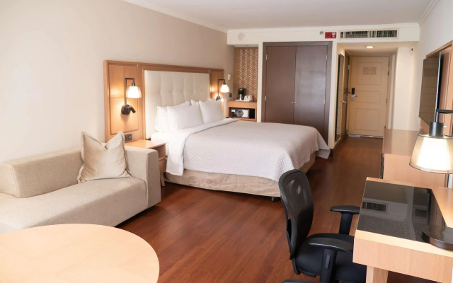 MS Milenium Monterrey, Curio Collection by Hilton