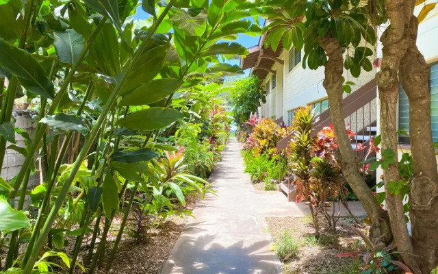Waiohuli Beach Hale D227 - Aloha La'i - Oceanfront/1b1b/Wifi/AC/Cable/Pool/Extras