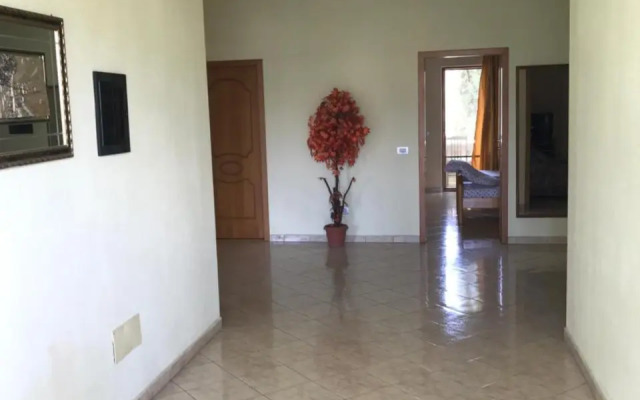 Guest House Pisha