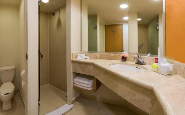 Holiday Inn Orizaba by IHG