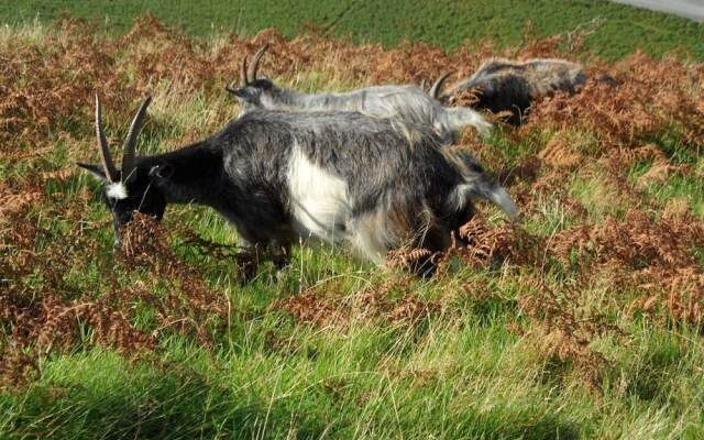 St Vincent Guest House