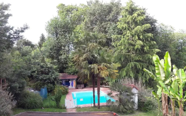 B&B En plein coeur de la forêt